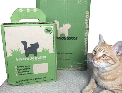 Tierra de gatos