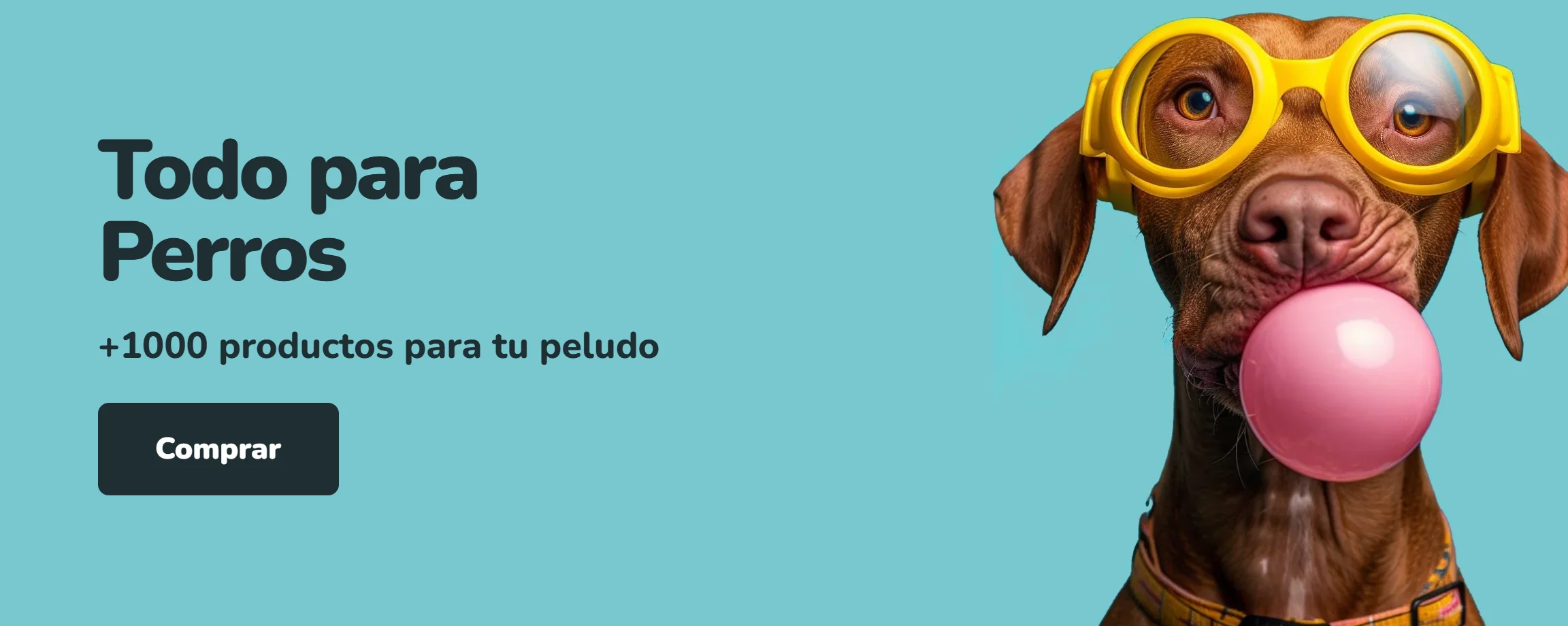 Perro café con gafas amarillas inflando un globo de chicle rosado sobre fondo turquesa. Todo para perros, más de 1000 productos en Parche Peludo