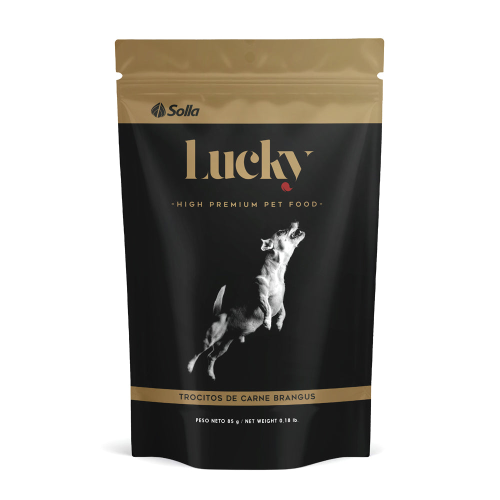 Lucky Trocitos Carne Brangus 1 Lucky Trocitos Carne Brangus