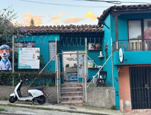 Veterinaria AnimalHelp La Estrella