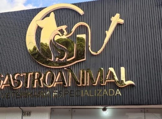 VETERINARIA GASTROANIMAL