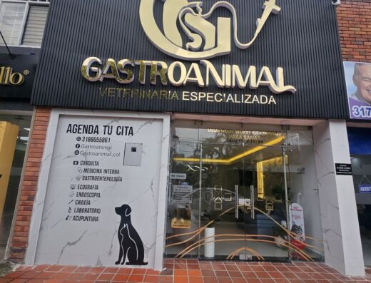 VETERINARIA GASTROANIMAL
