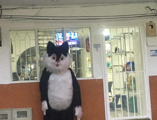VETERINARIA MASCO AVENTURAS