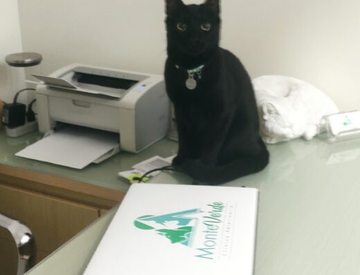 Veterinaria Monte Verde