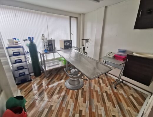 Vetpoly | Veterinaria Suba 24 Horas