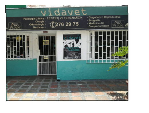 VIDAVET Centro veterinario