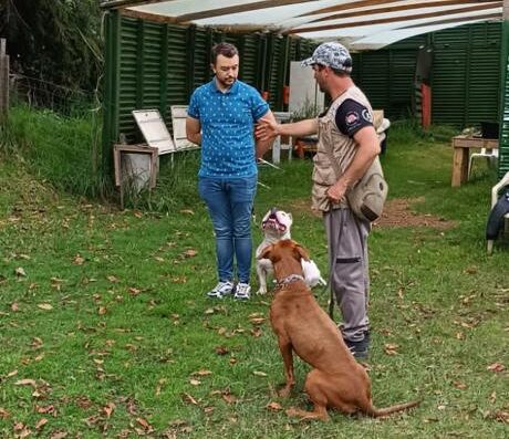 Working Dogs Colombia SAS/ Adiestramiento para Perros en Cundinamarca