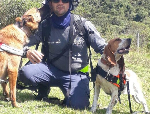 Working Dogs Colombia SAS/ Adiestramiento para Perros en Cundinamarca