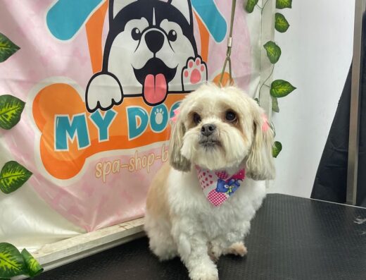 WORLD PET’S – Clínica Veterinaria (24 horas)