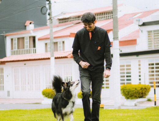 Your Friend – Adiestramiento Canino