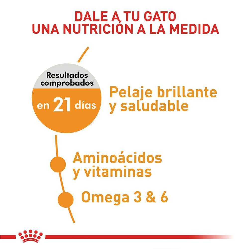 Royal Canin Feline Hair & Skin Care Gato 400 g 2 Royal Canin Feline Hair & Skin Care Gato 400 g, vista lateral del empaque