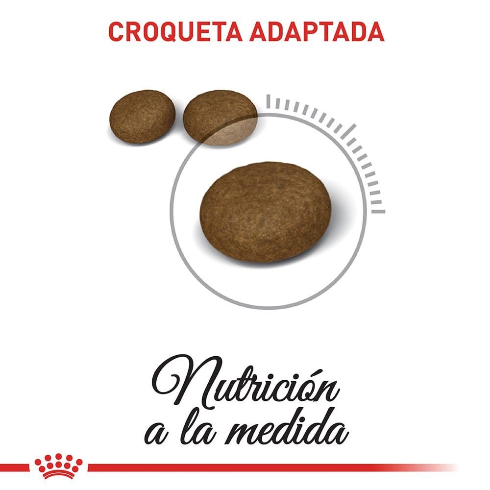 Royal Canin Feline Hair & Skin Care Gato 400 g 3 Royal Canin Feline Hair & Skin Care Gato 400 g, detalle del producto