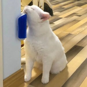 cepillo rascador gatos