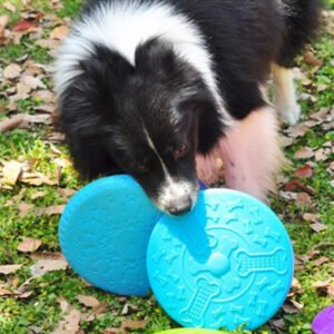 frisbee para perro