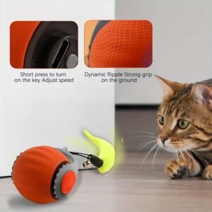Pelota interactiva automática para gato Happypet Drops junto a un gato