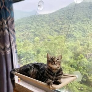 hamaca para gatos