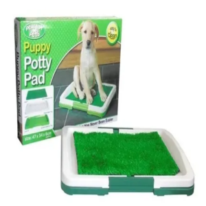 entrenador baño perros