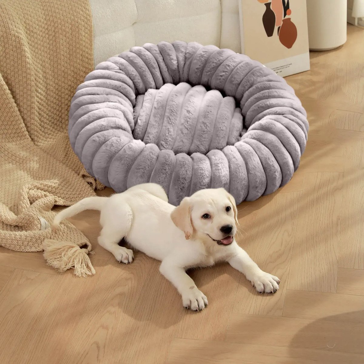 Cama redonda afelpada para perros y gatos 5 cama mascota afelpada