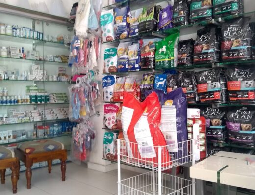 38 Plus Hospital Veterinario