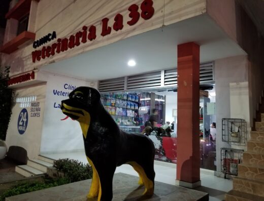 38 Plus Hospital Veterinario