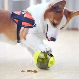 pelota dispensadora comida
