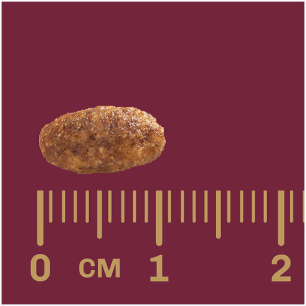 Tamaño de la croqueta Gran Plus gato adulto