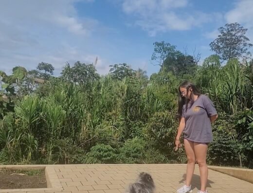Abc canin academy