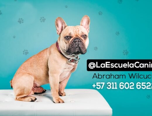 Abraham Wilcucu Escuela Canina en Cali Adiestramiento Canino & Equino