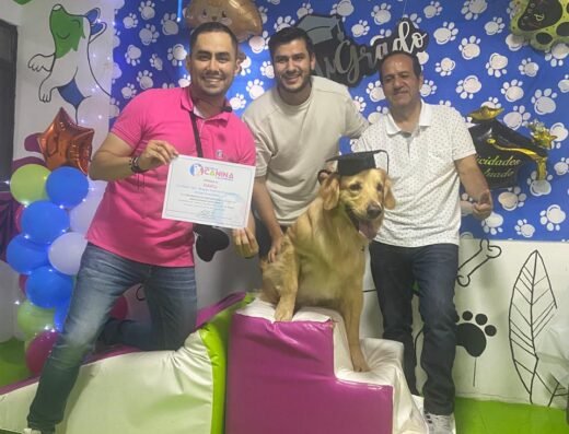 Adiestramiento canino | Escuela Canina Colombiana