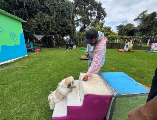 Adiestramiento canino | Escuela Canina Colombiana| Sede Norte