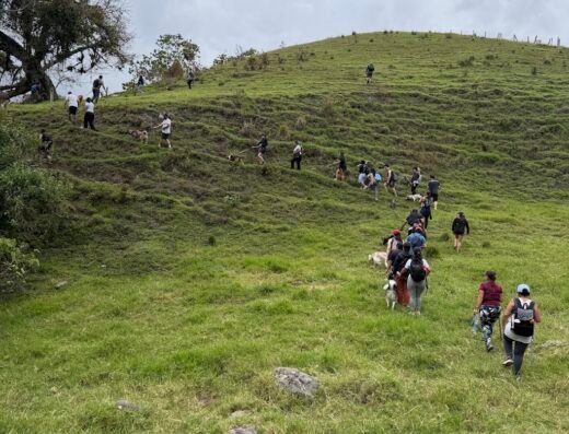 Adiestramiento canino Jhon joaco manizales