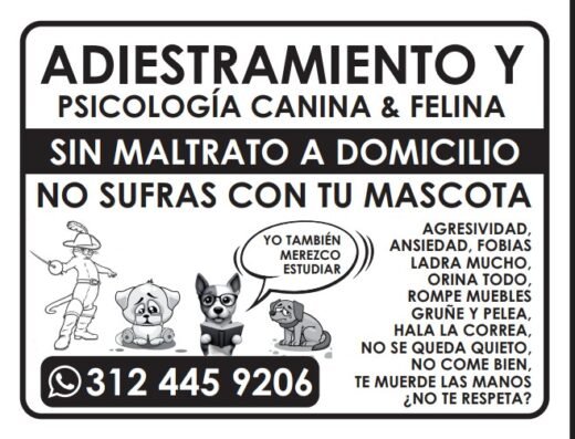 Adiestramiento, psicología Canino y felino Sin Maltrato Bogotá