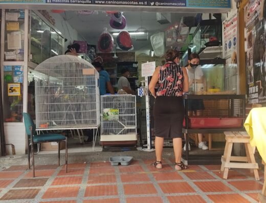 Almacen Canino Mascotas