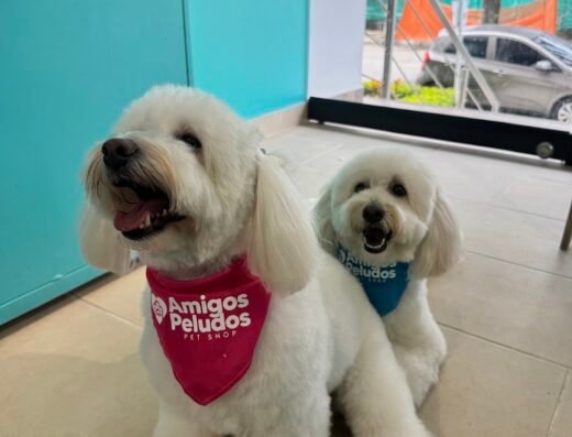 Amigos Peludos | Peluquería Canina | Mascotas | Spa | Medellín