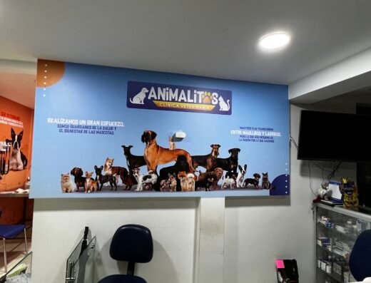 Animalitos