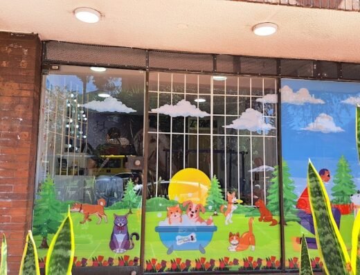 AniMarket Sede Palermo Spa Canino y Felino