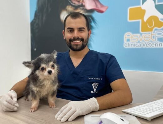 Asvet Clínica veterinaria