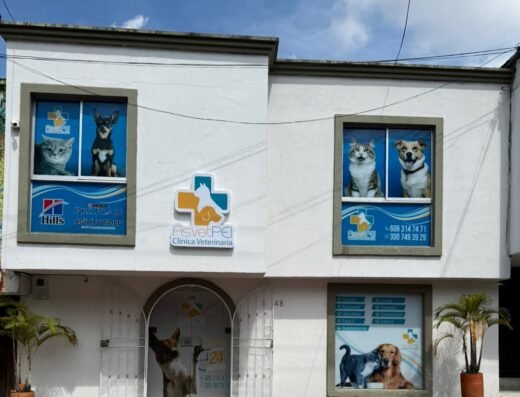 Asvet Clínica Veterinaria