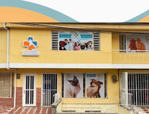 Asvet Clínica veterinaria