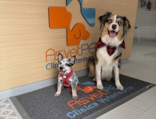 Asvet Clínica Veterinaria