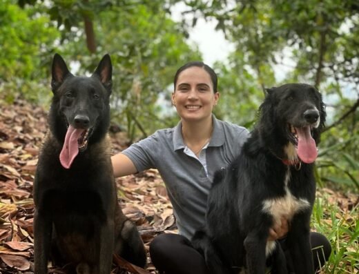 Cachorros 2-21