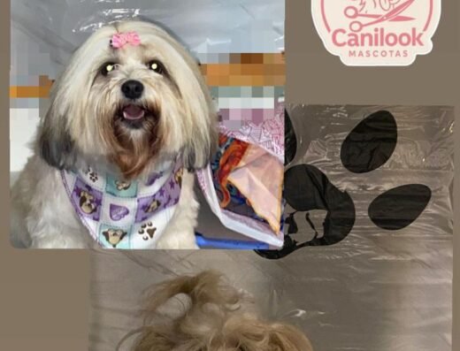canilook_mascotas