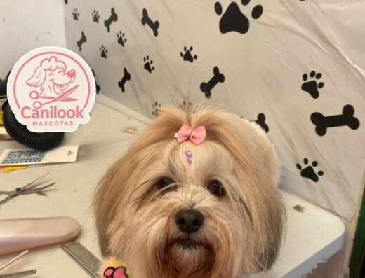 canilook_mascotas