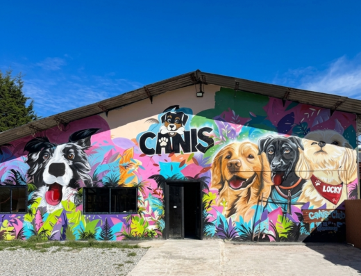 Canis Club Canino