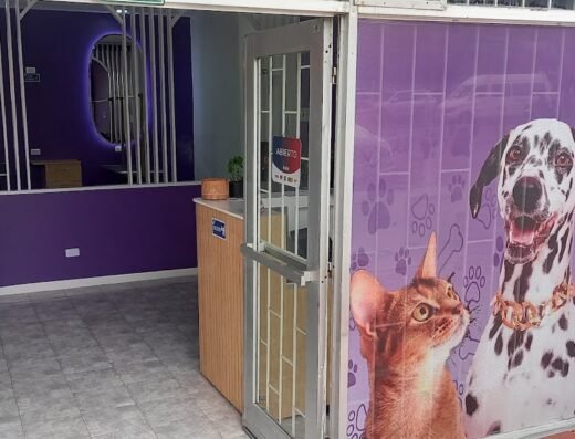 CAZELU un mundo para mascotas