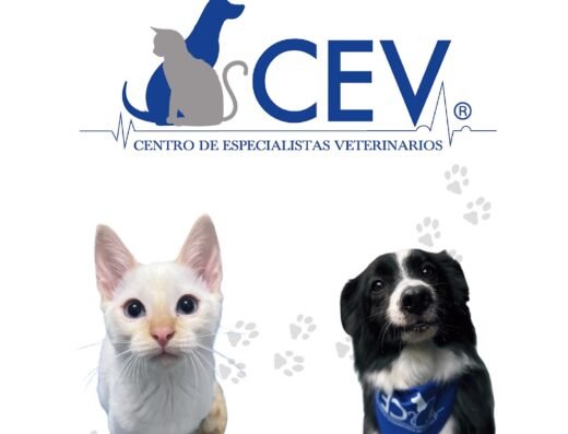 CEV Centro de Especialistas Mascotas