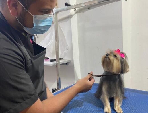 Clínica Veterinaria 24 HORAS – Unimed