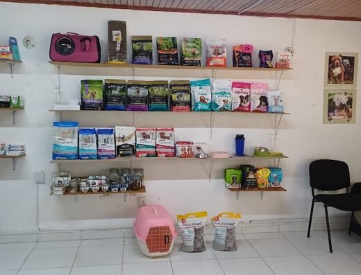 Clínica Veterinaria Animal Team