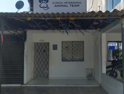 Clínica Veterinaria Animal Team
