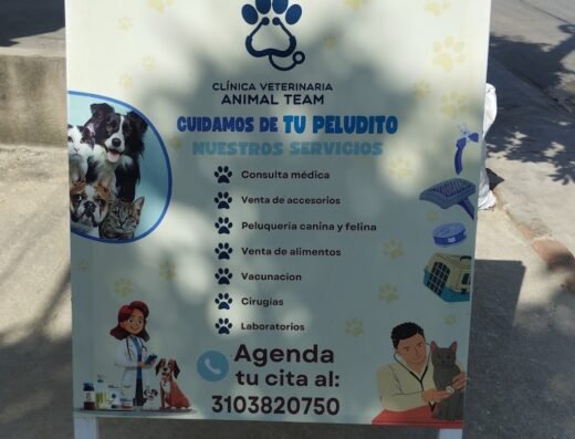 Clínica Veterinaria Animal Team